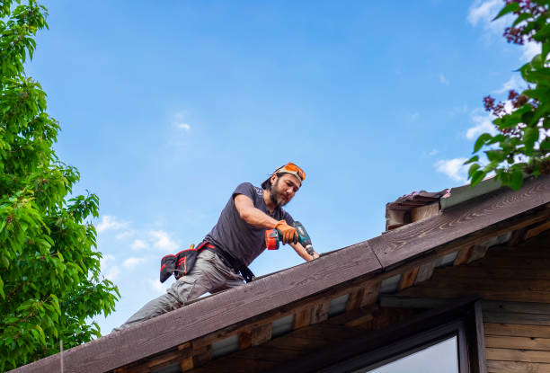 Best Asphalt Shingle Roofing  in Jim Thorpe, PA